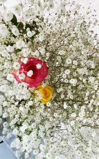 杉浦太陽『ホワイトデーのお花』