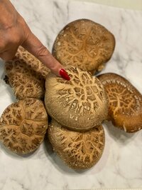 研ナオコ『とにかく大きな、、』