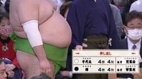 【映像】千代丸の横っ腹をアップにするカメラワークに藤井アナつっこみ