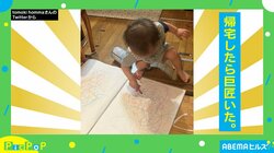 帰宅したら巨匠がいた！ 1歳半の息子が描いた“躍動感”あふれる絵が話題に「将来大物」「画伯誕生」