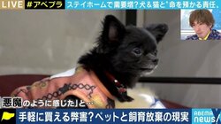 「飼ってみたら匂いと鳴き声が…」コロナ禍に買われた犬猫の放棄が急増? ペットショップでの販売はやめるべきか
