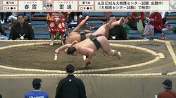 「えげつない体幹」背中の筋肉“バキバキ”力士に騒然 衝撃の投げに「マンガみたい」「凄いけど危ない」