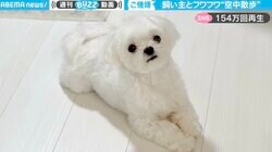 普段はしょんぼり顔の犬→空中散歩させるとご機嫌スマイルに 「楽しそうでかわいい」と悶絶の声