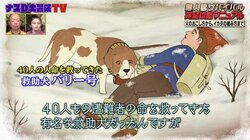 40人の命を救った伝説の犬…？ナスD、セントバーナードの名前の由来を明かす