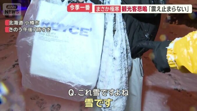 まるで冷凍庫の霜　かばんにこびりつく雪