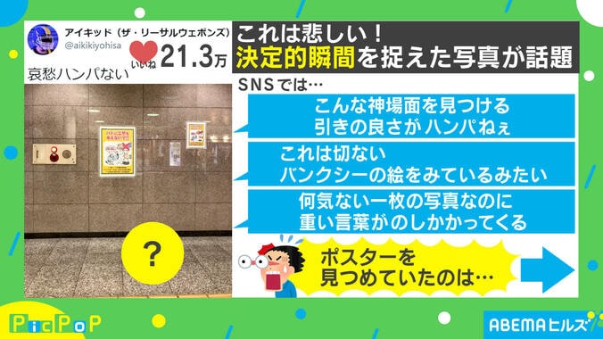 「バンクシーの絵みたい」ハトの視線の先には…？ ポスターに書かれていた内容が切なすぎる 1枚目