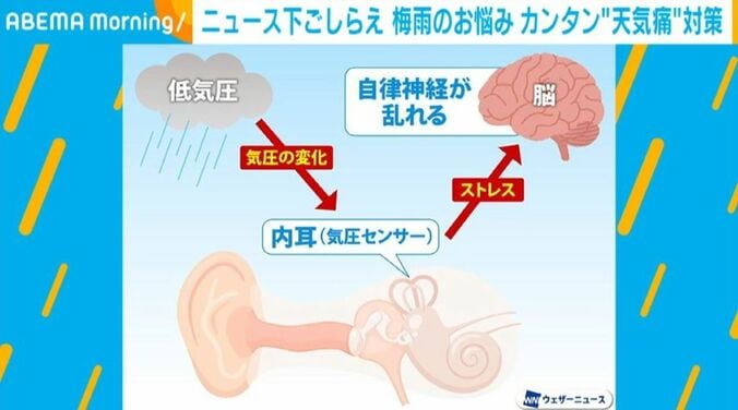 「天気痛」が起こる仕組み