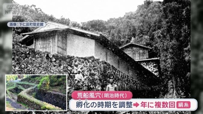 カイコのための施設