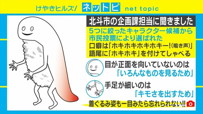 キモいと話題の「ずーしーほっきー」が“一目見たら忘れられないご当地キャラ”1位に 3枚目