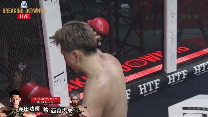 【写真・画像】【全試合速報します】ブレイキングダウン16（Breaking Down16）対戦カード・大会情報・結果速報【溝口 vs SATORU いよいよ決着】　32枚目