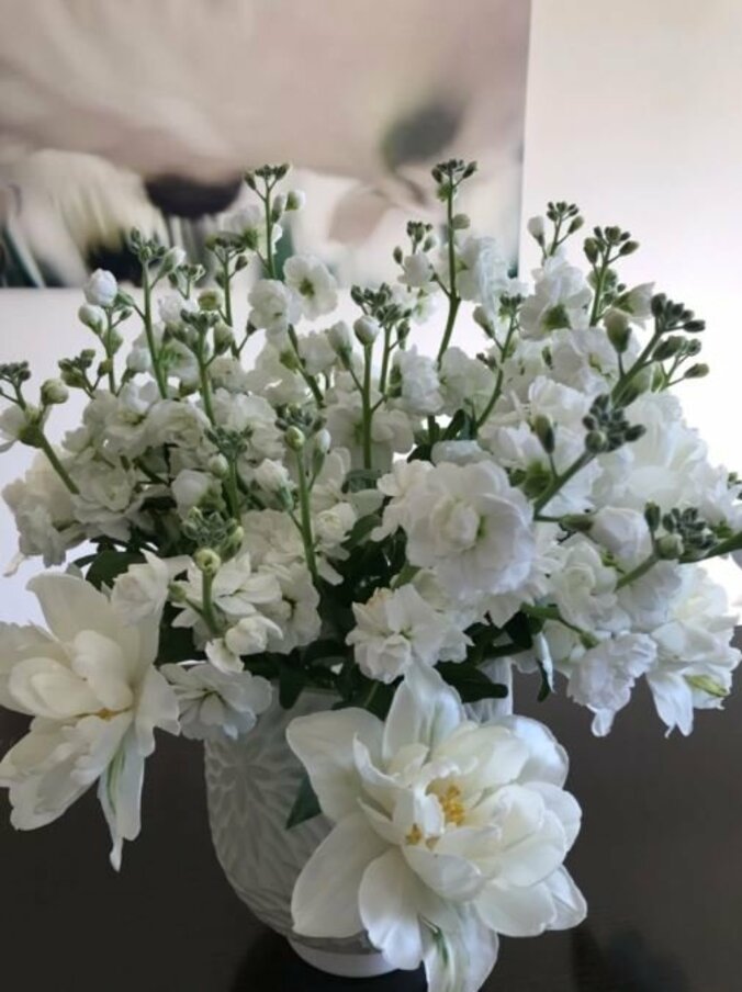 稲垣吾郎、自宅リビングに飾っている花を披露「豪華なチューリップ」 3枚目