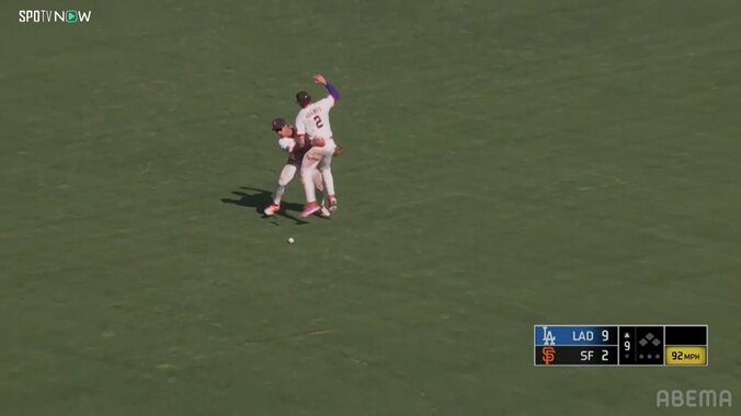 【写真・画像】　2枚目