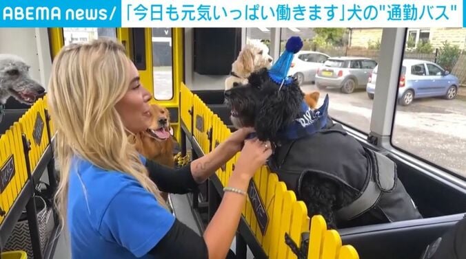 バス内の犬