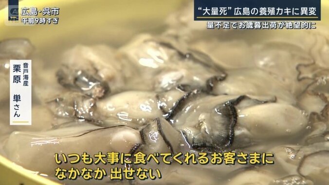 音戸海産　栗原単さん