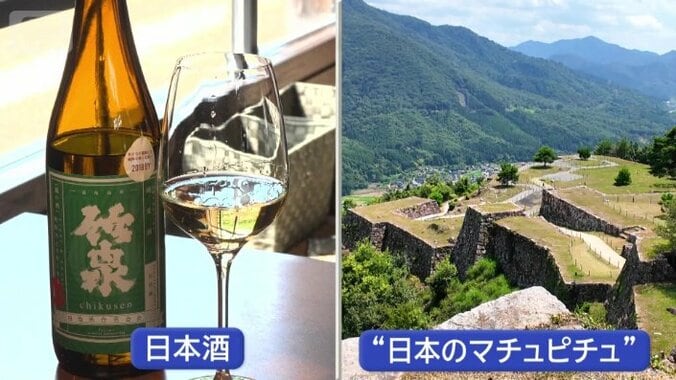 ここは、どこ？
