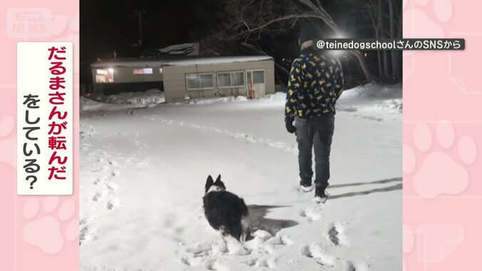 “だるまさんが転んだ”をしてる？