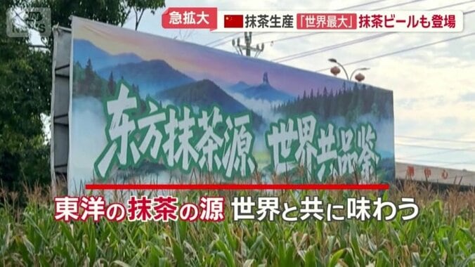 いたるところに「抹茶」をアピールする文字
