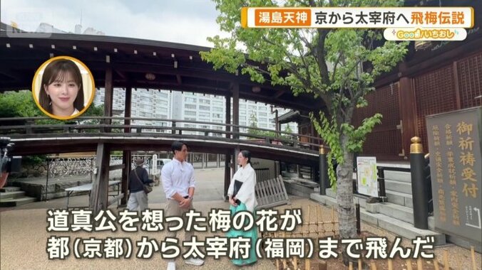飛梅伝説と呼ばれる伝説