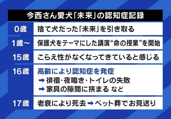 ペットの“認知症”予防と対策は？「安楽死」を選択する人も…介護&看取った当事者に聞く「恩返しする最後のチャンス」 3枚目