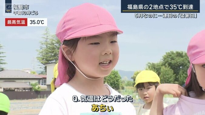 参加した園児