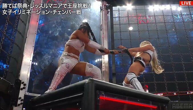 髪を引っ張り合う