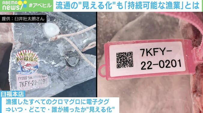 「産地偽装や違法に獲った魚が食卓に…」流通の“見える化”が漁業を守る 2枚目