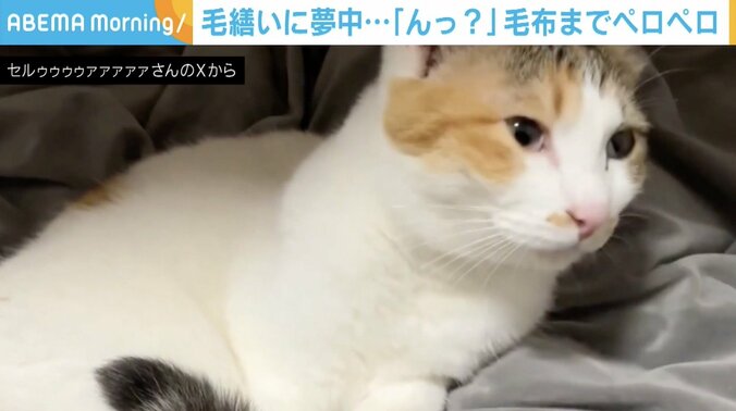 セルジオ悦子ちゃん