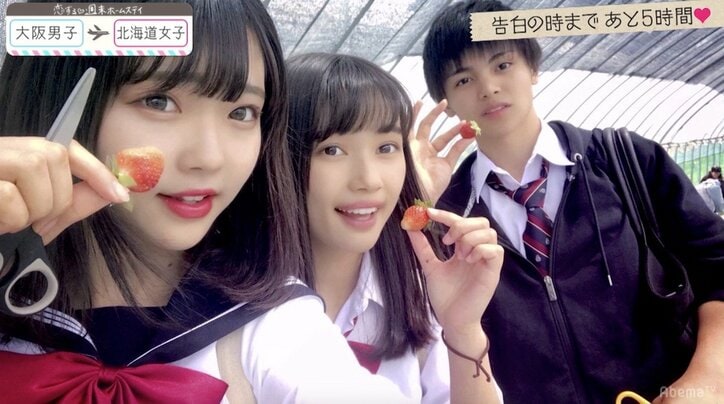 『恋ステ』北海道女子×大阪男子編 第11回 北海道女子が告白、最後まで続いた波乱の恋の行方は…
