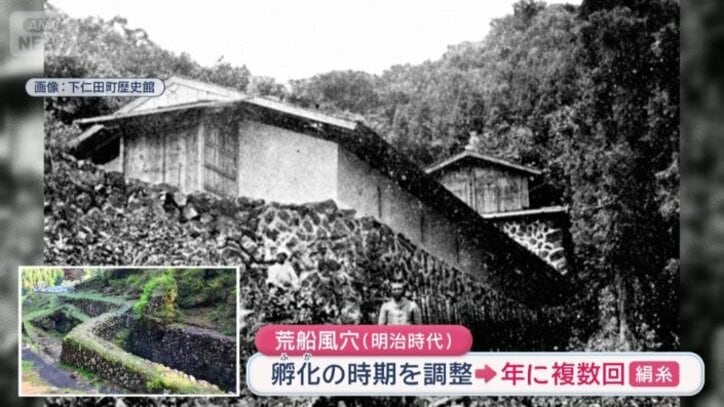 カイコのための施設