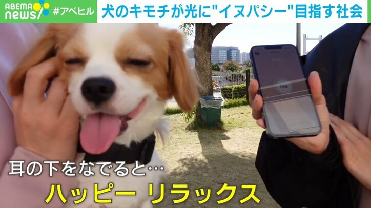 あなたは犬の気持ちが本当にわかっている？ 愛犬の感情を知る「イヌパシー」とは