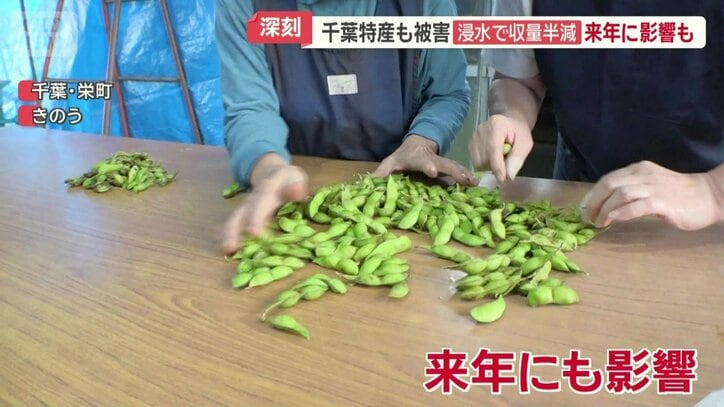 影響は今年だけでなく来年にも