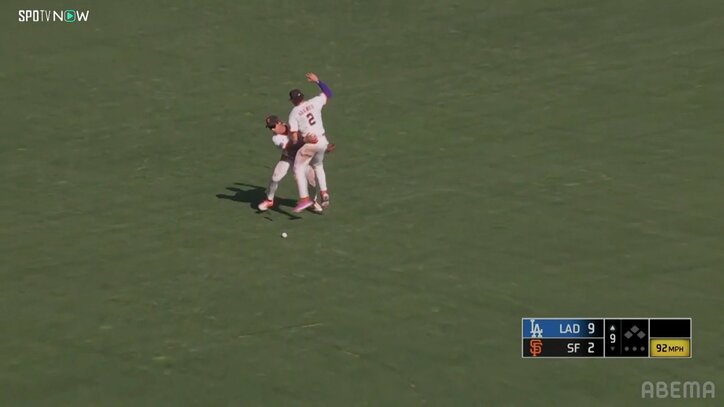 【写真・画像】　2枚目