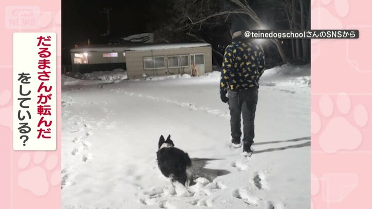 “だるまさんが転んだ”をしてる？