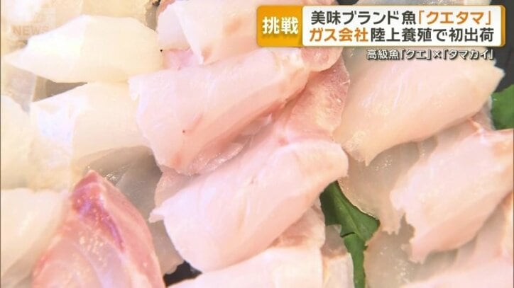 しゃぶしゃぶなど幅広い料理に