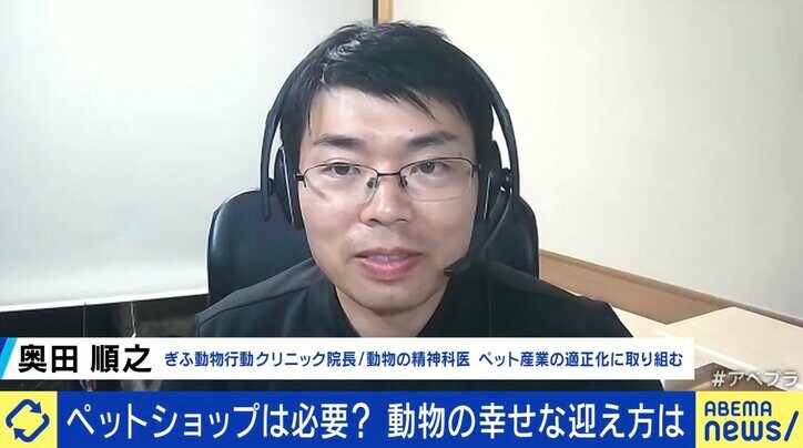 【写真・画像】なくならない犬猫の殺処分…ペットショップとの関係は？ “飼う”と“繁殖”の分離が課題？ 「生体販売」を考える　2枚目
