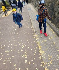 小原正子『デジカメ購入☆』