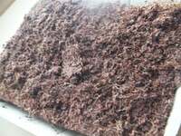 クリス松村『フラストレーション』