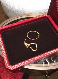 上原さくら『今年は何も欲しくないから...』