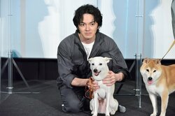 林遣都、犬に引っ張られながら舞台挨拶！柴犬に「あれやって！」