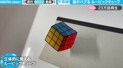 仕組みを知っても“脳がバグる”！ トリックアートに「もう私の頭では処理しきれません」の声