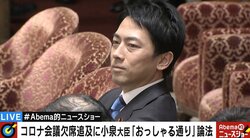「おっしゃる通り」小泉大臣の答弁が波紋 金子恵美氏「国民に寄り添うどころか、国民感情すら忘れてしまった」