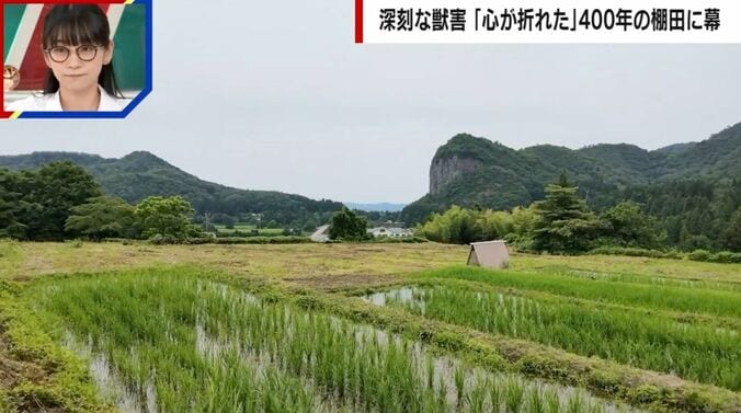 棚田
