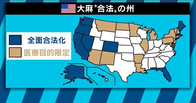 ラッパーUZIが大麻所持容疑で逮捕 大麻とヒップホップの関係は？合法化が加速するアメリカでは「酒・たばこと同じ」との声も 15枚目