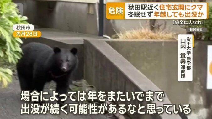 年越しても出没か