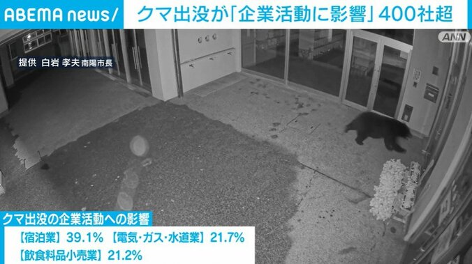 走りまわるクマ