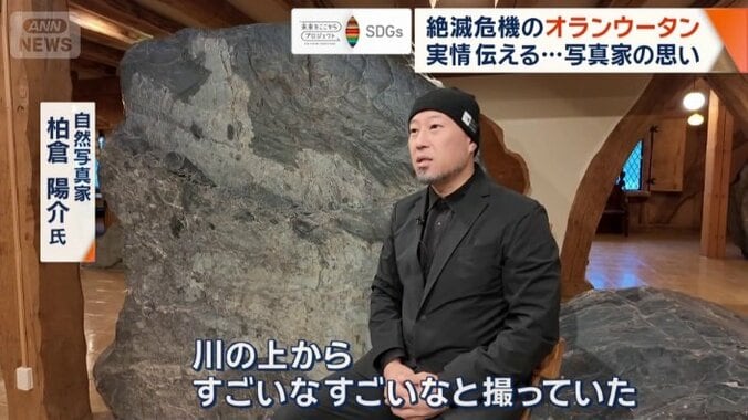 野生動物たちは追い詰められて集まっていたところを…