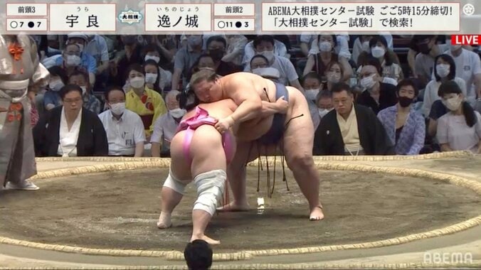 平幕の逸ノ城が初優勝！ 照ノ富士が貴景勝に敗れ決まる「泣いちゃった」「おめでとう！」ファンの声 1枚目