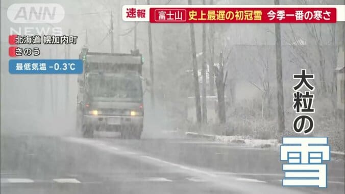 大粒の雪が降る北海道幌加内町