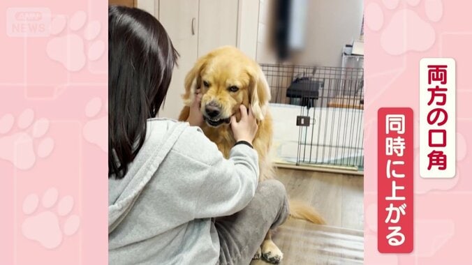 両方の口角が同時に上がる