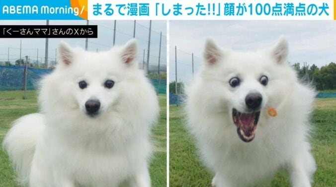 楽くん
